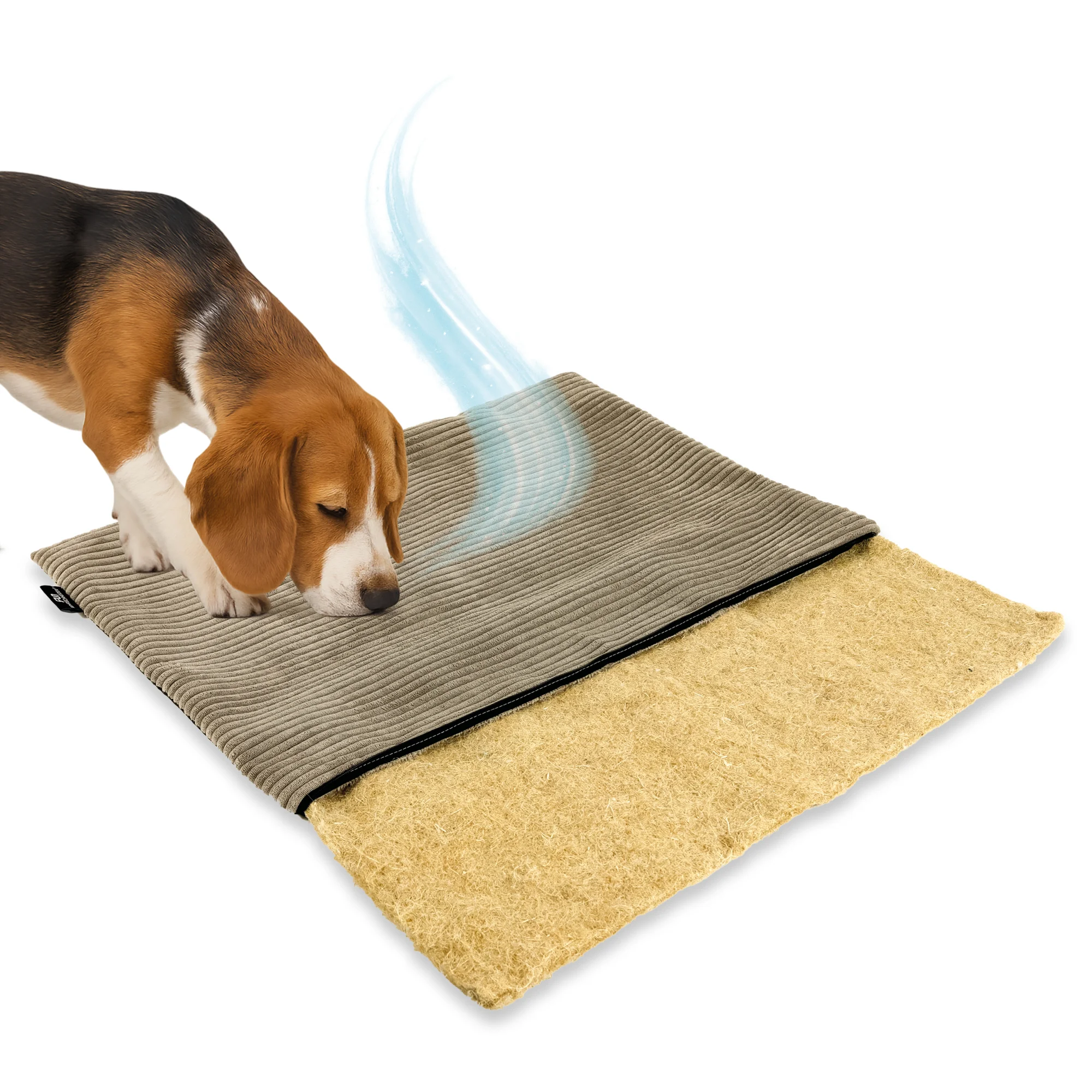 Rohrschneider RS 22389 Hanfmatte Cordbezug – Naturmatte mit Bezug GR.1