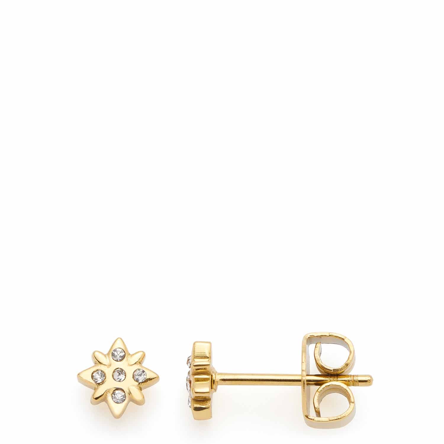 LeonardoOhrstecker gold Campagnola CIA LeonardoOhrstecker gold Campagnola CIA