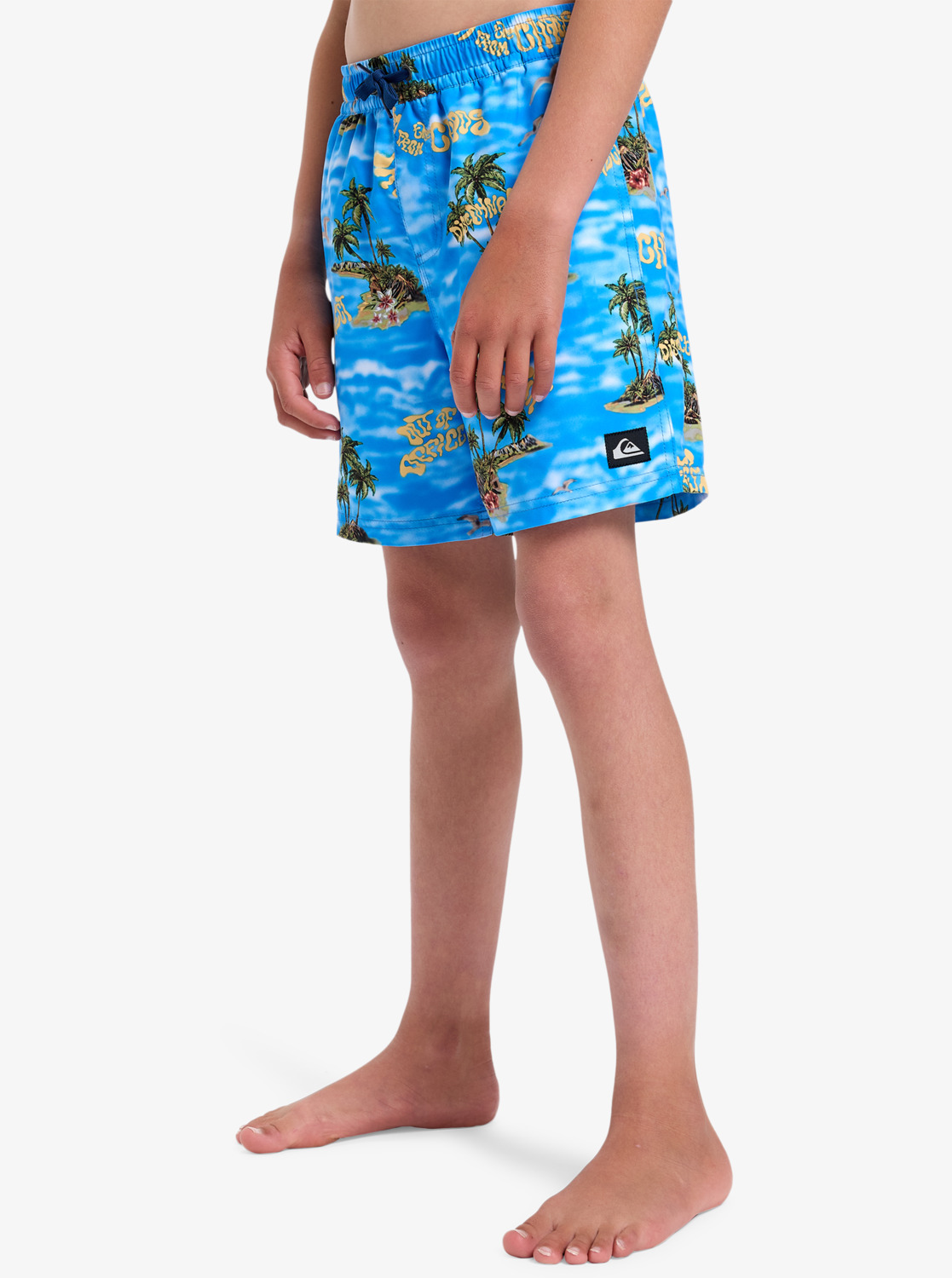 Quiksilver Everyday 15" - Volley Shorts für Jungen GR. M Strandmode, Kleidung, Person, Kurze Hose, Rock