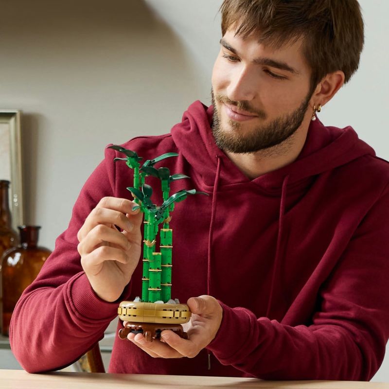 LEGO® Botanicals 10344 Glücks-Bambus LEGO® Botanicals 10344 Glücks-Bambus