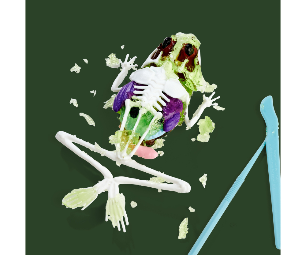 Simba Scout Dissect-It Frosch