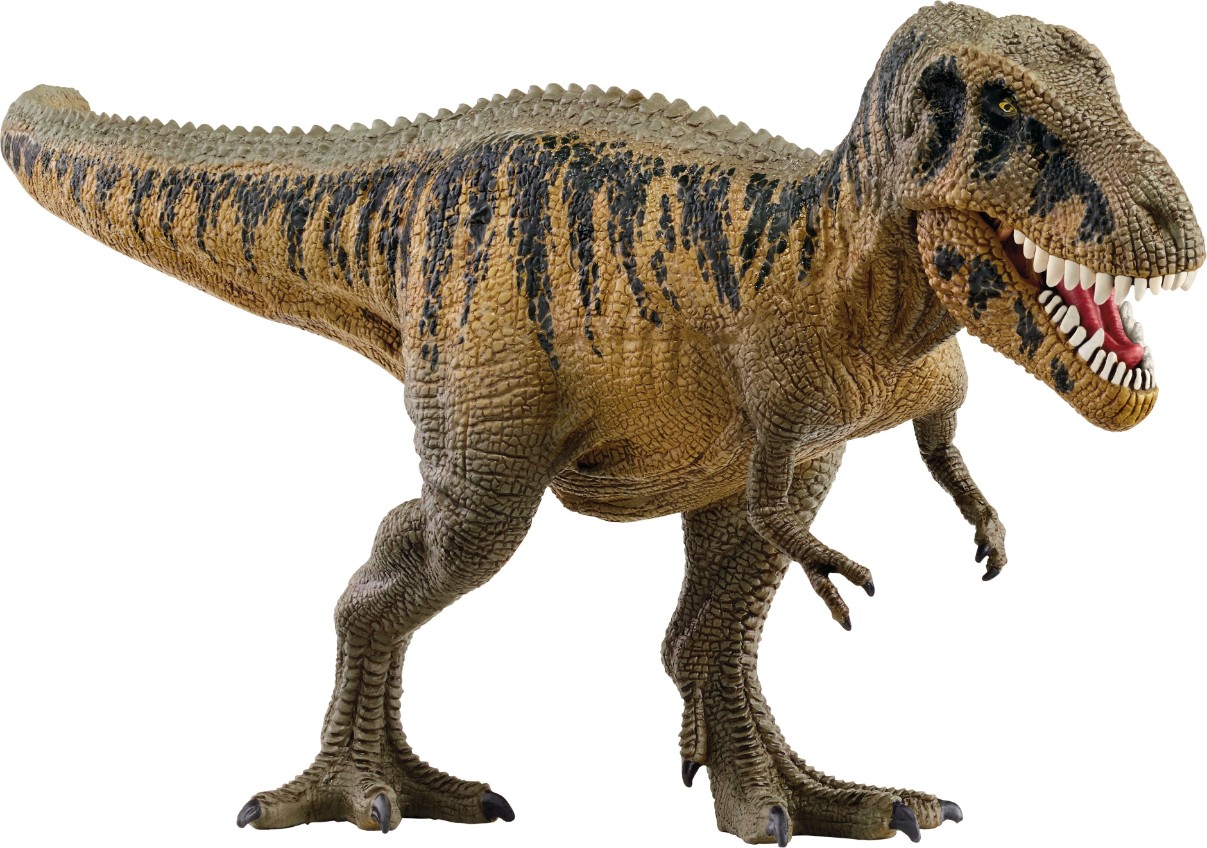 Tier, Dinosaurier, Reptil, T-Rex