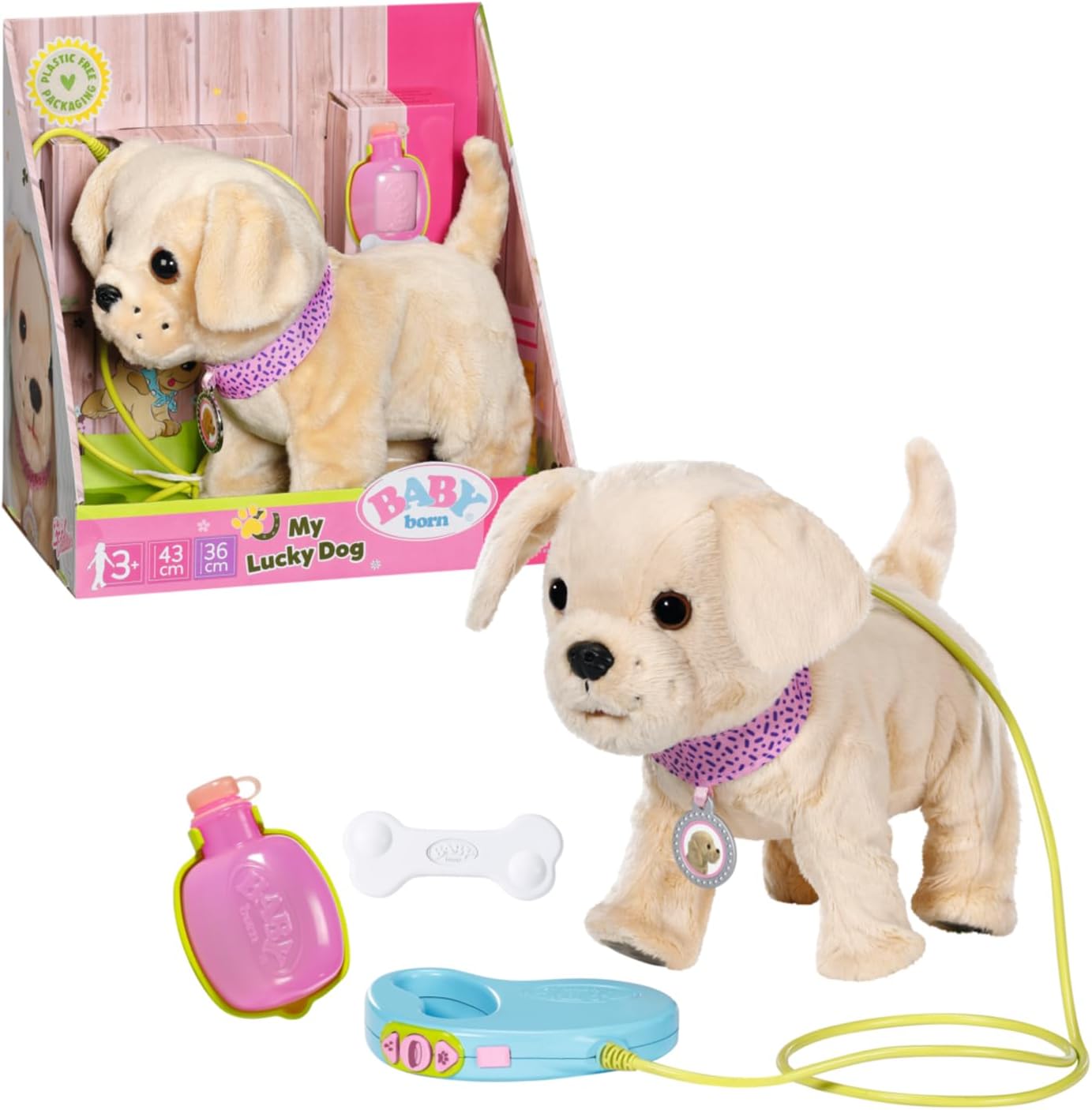 Hund, Säugetier, Haustier, Spielzeug