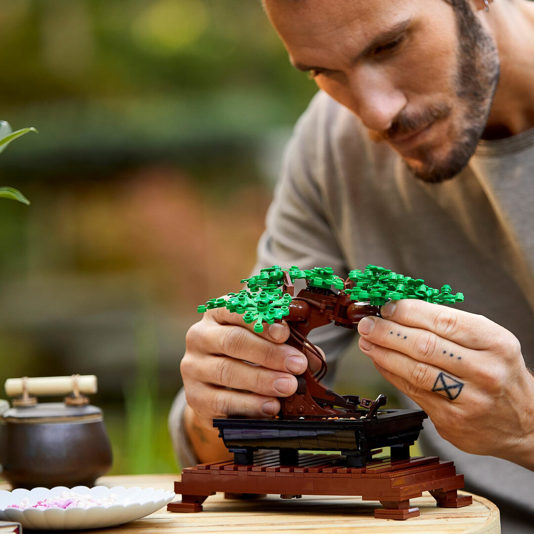 LEGO® Creator Expert Bonsai Baum 10281 Erwachsener, Männlich, Mann, Person, Spielzeug