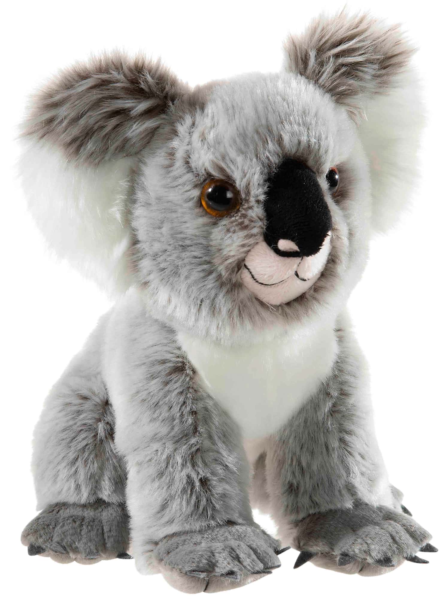 BEDROHTE TIERE Koala Baer