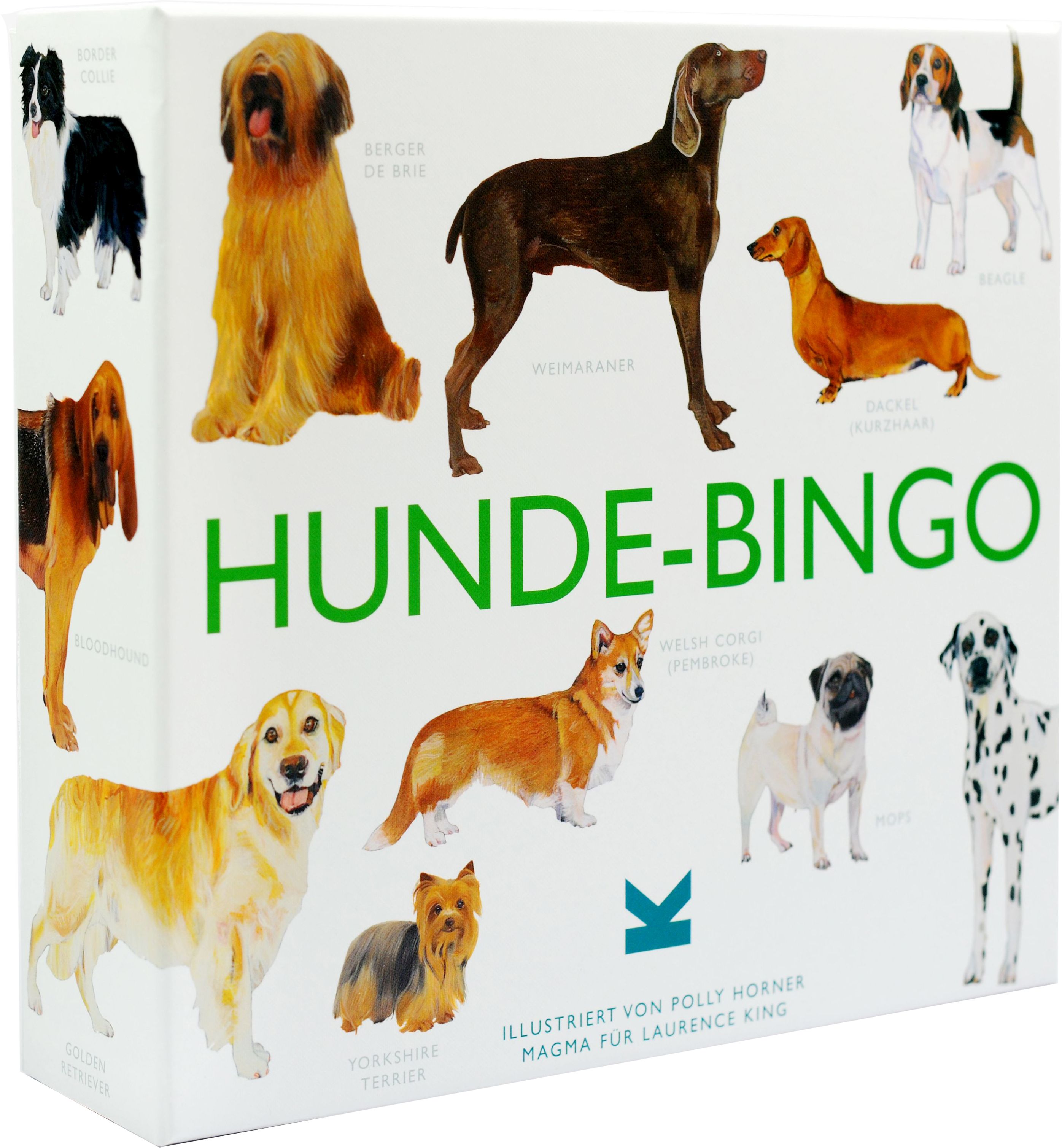 Hund, Säugetier, Haustier, Hund, Säugetier, Haustier, Hund, Säugetier, Haustier