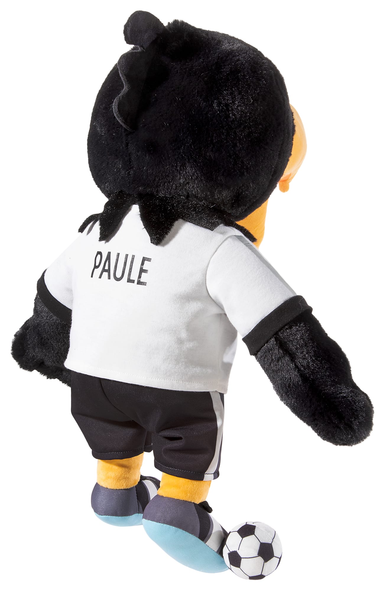 DFB Adler Paule 2