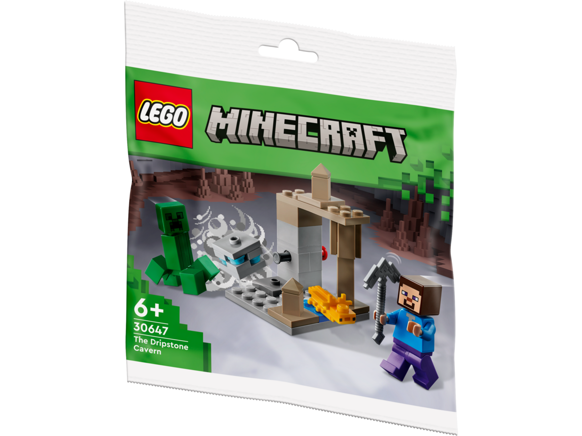 LEGO® Minecraft Die Tropfsteinhöhle 30647