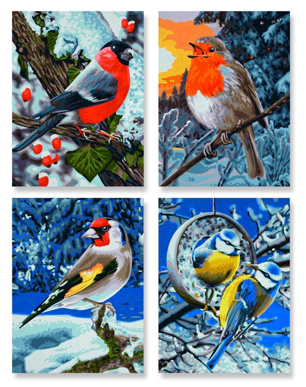 Schnabel, Vogel, Fink, Kunst, Collage