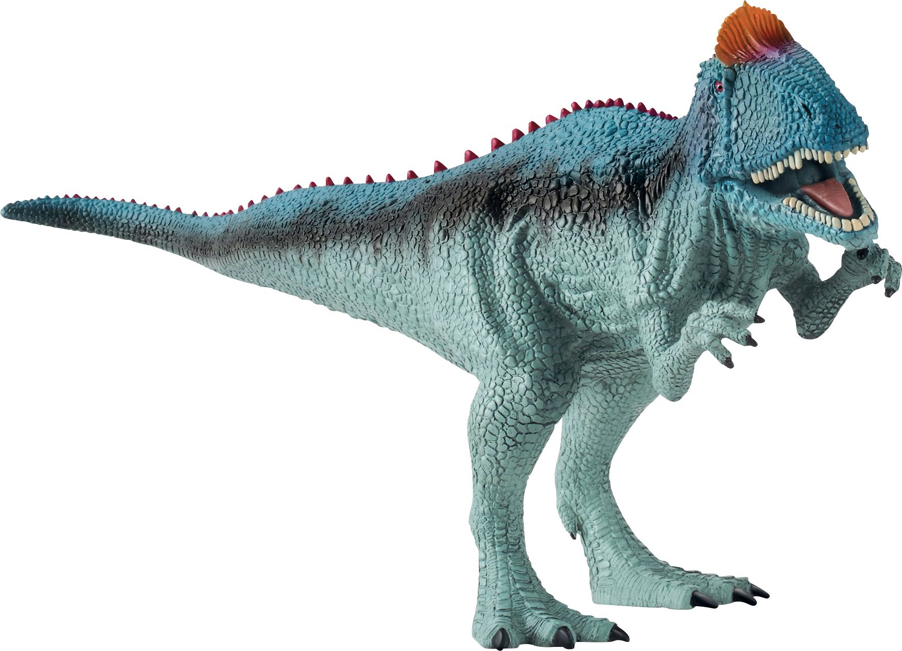 Tier, Dinosaurier, Reptil, T-Rex