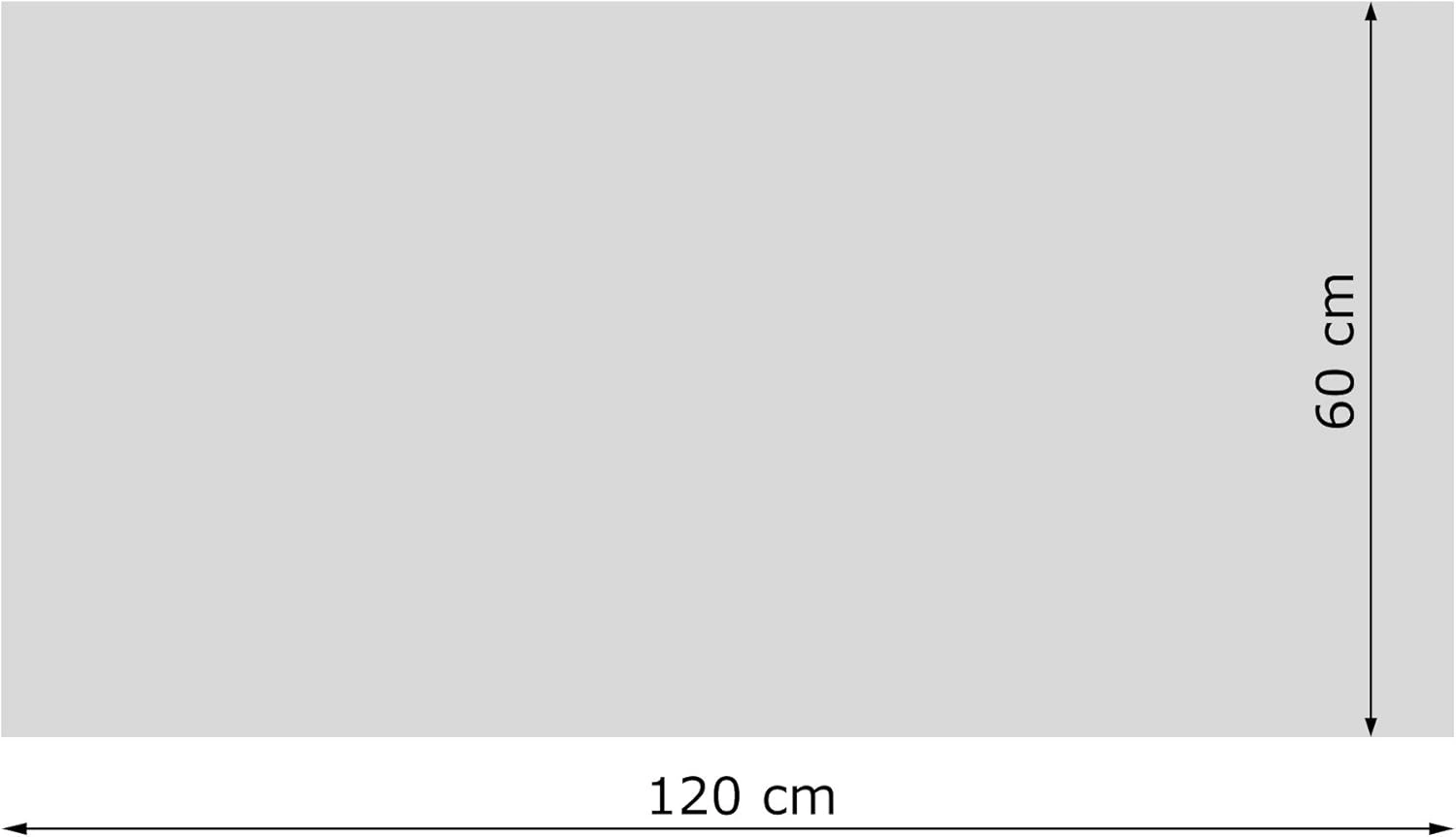 VIESTA® H700GW Infrarotheizung Glas Wandheizung 700 W – Infrarot Heizpaneel aus Sicherheitsglas, Weiß