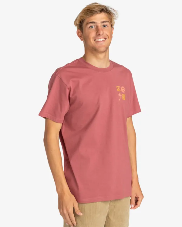 Billabong, T-Shirt, Herren, Side, Rose, Dust