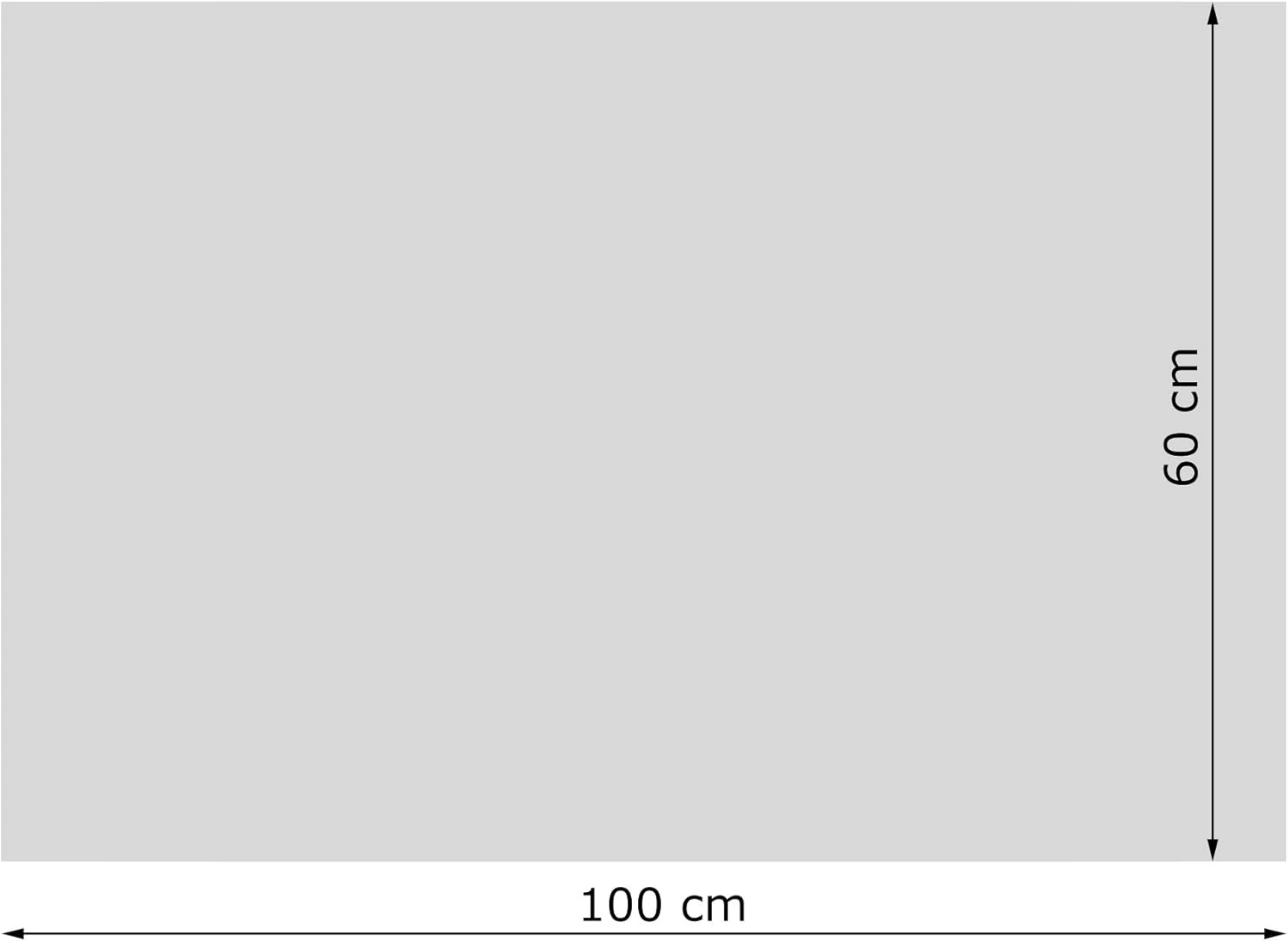 VIESTA® H580GW Infrarotheizung Glas Wandheizung 580 W – Infrarot Heizpaneel aus Sicherheitsglas, Weiß
