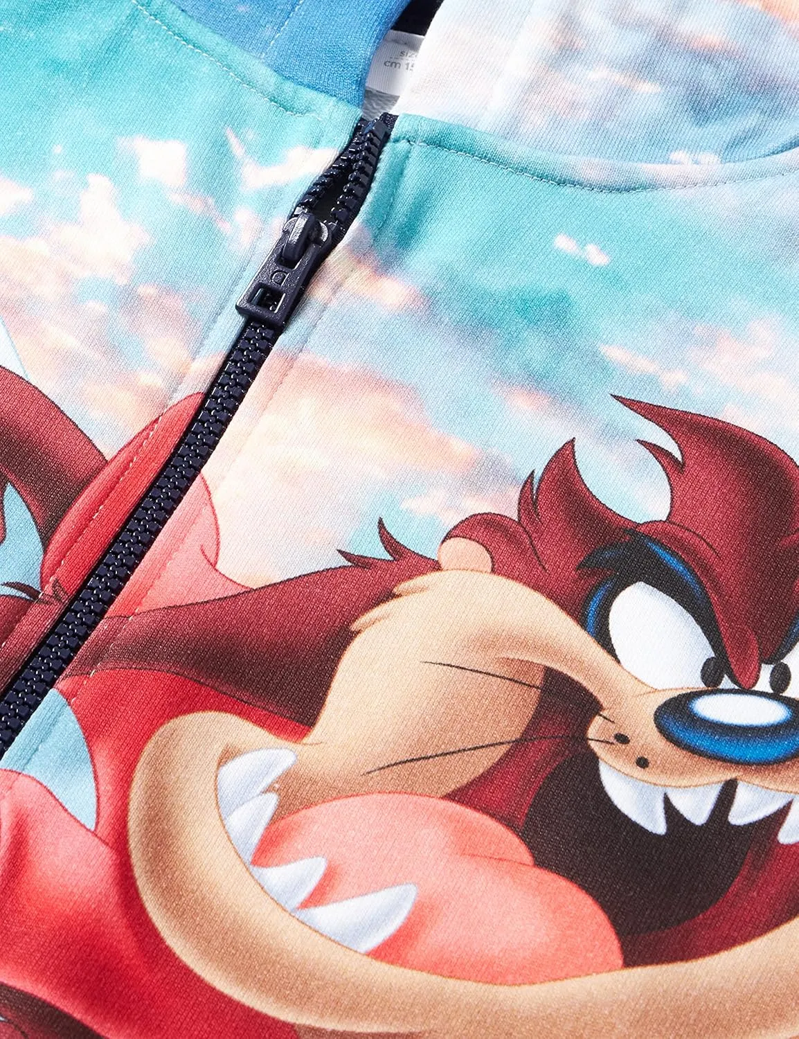 Desigual Jungen Sweatjacke „Looney Tunes Hercules“ - Bunt 22SBSK07 GR. L