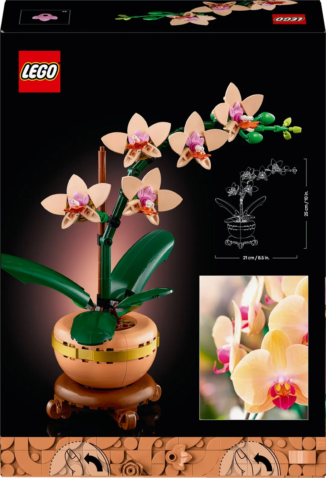 LEGO® Botanicals 10343 Mini-Orchidee LEGO® Botanicals 10343 Mini-Orchidee