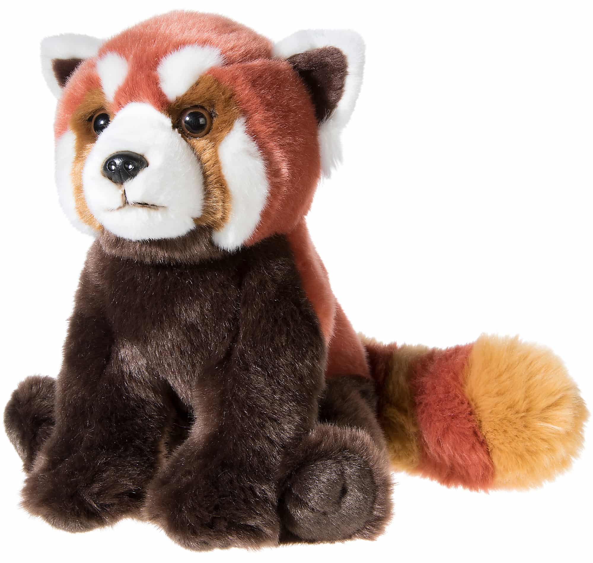 Bedrohte Tiere roter Panda