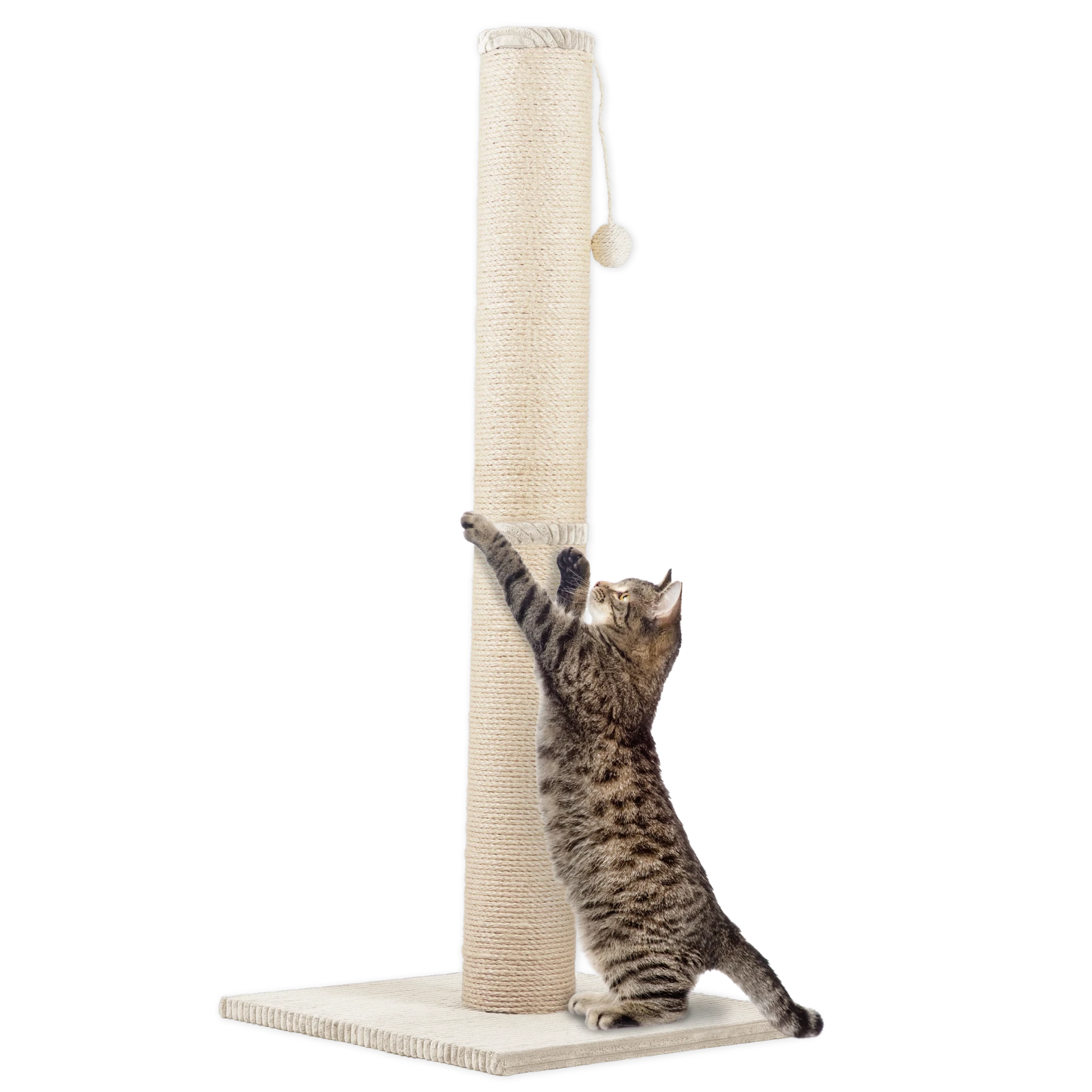 Rohrschneider RS 22387 Katzenbaum XL Stamm Cord – Kratzbaum mit Spielkugel GR.2