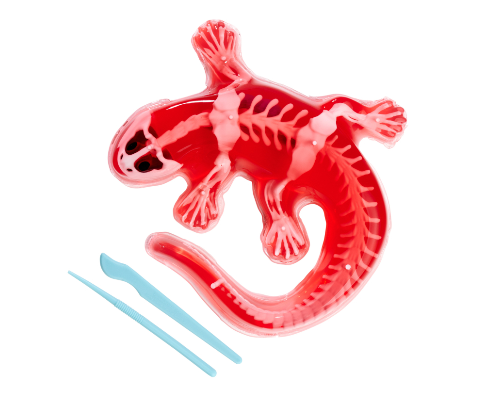 Simba Scout Dissect-It Salamander