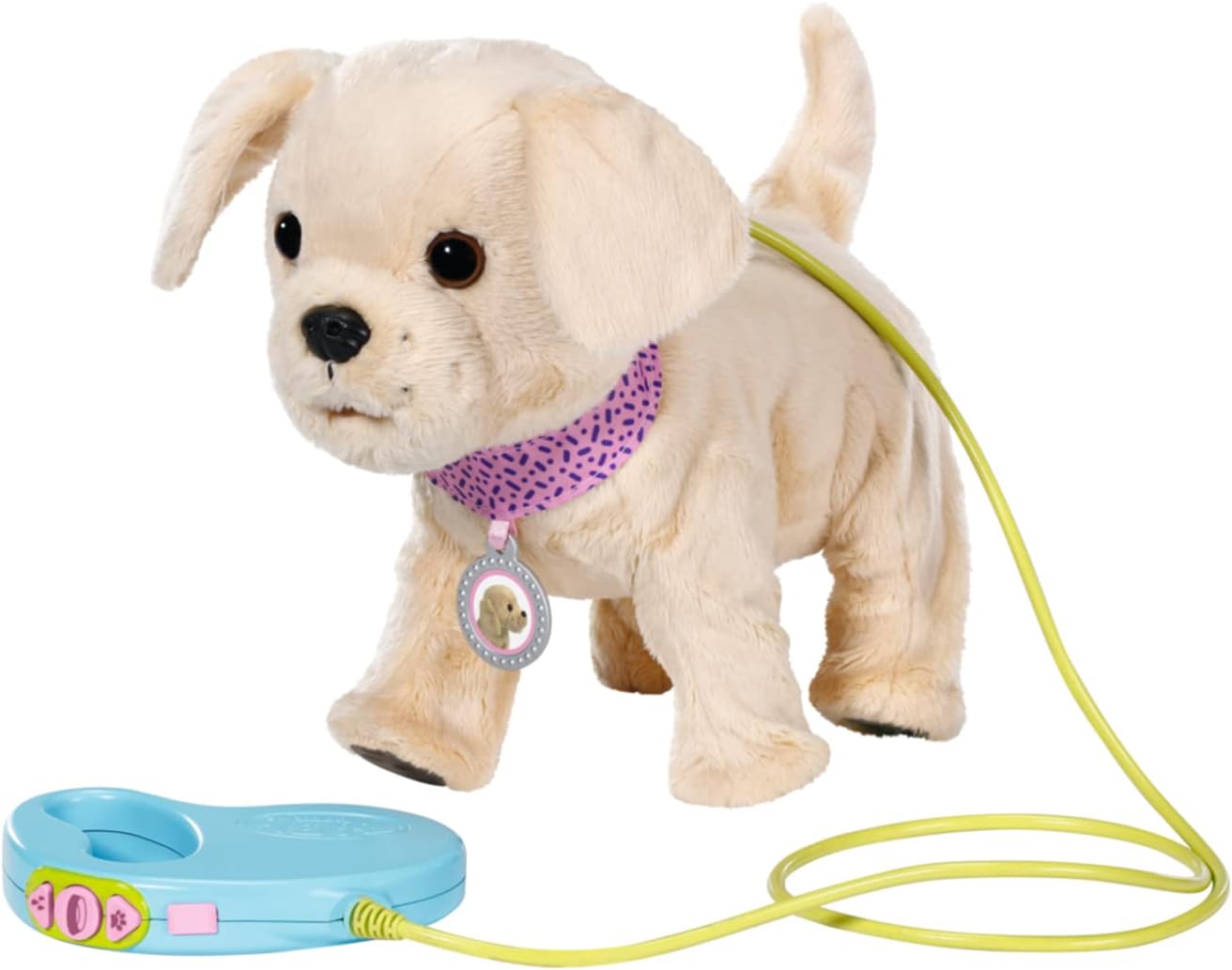 Hund, Säugetier, Haustier, Welpe