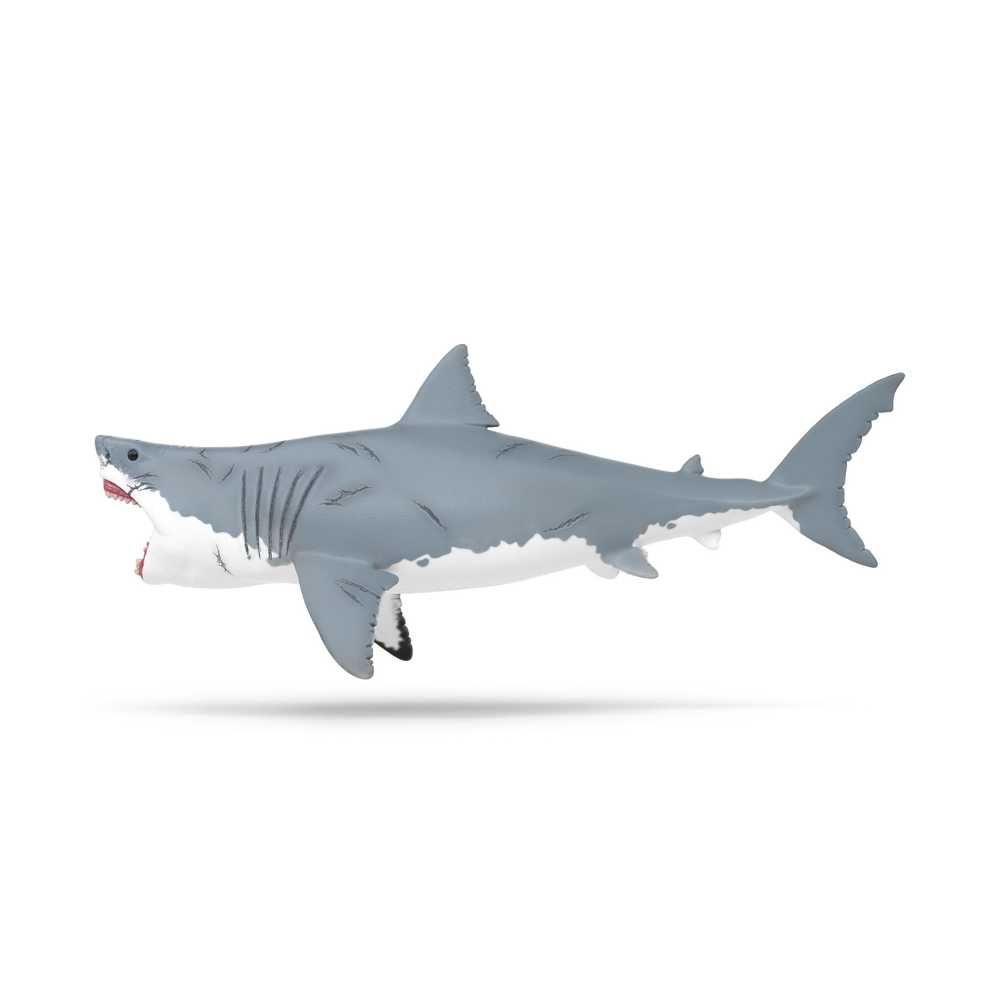 Megalodon - Schleich - SCHLEICH 15055 Produktfoto - Schleich - Megalodon - Modell SCHLEICH 15055 Produktbild fuer Online-Shop