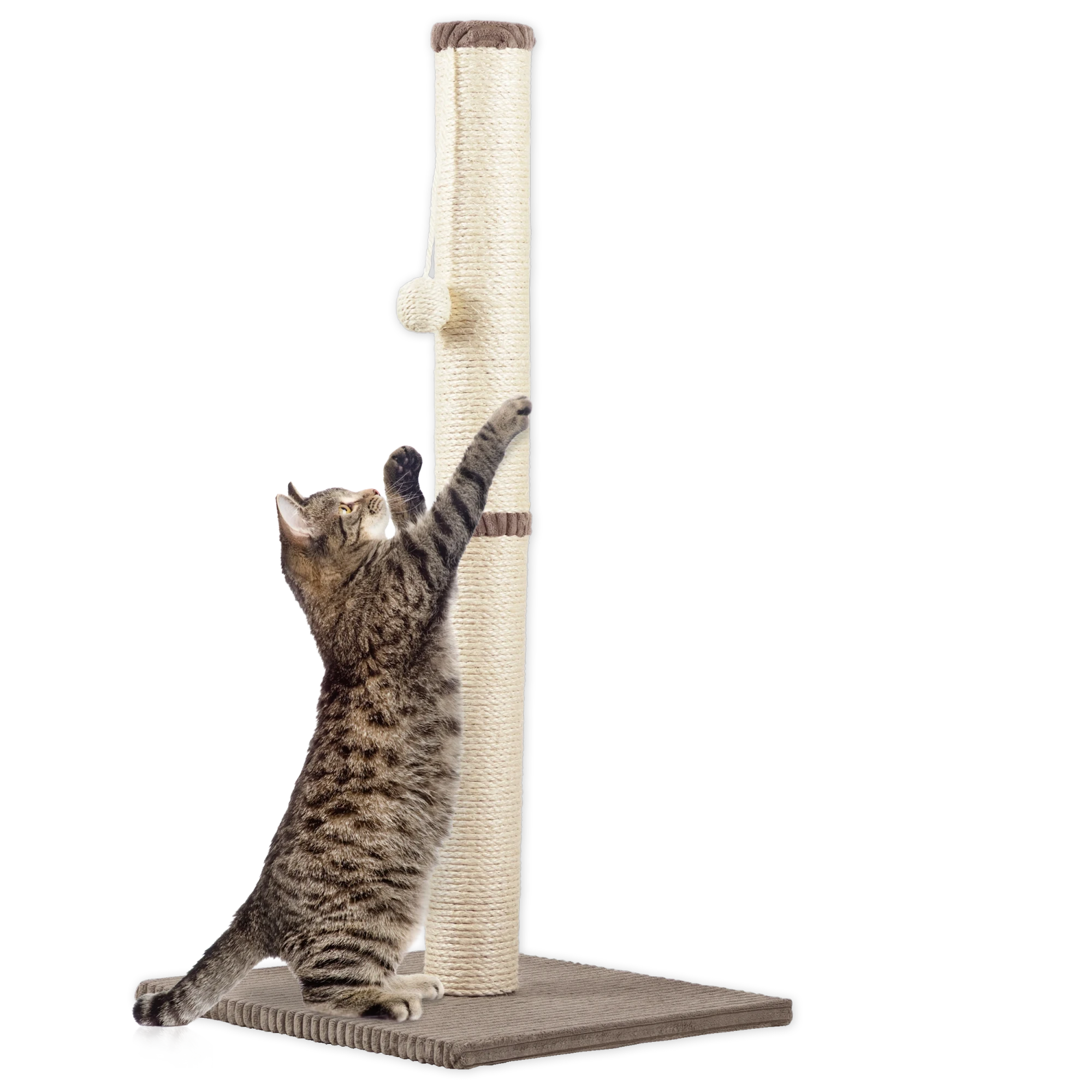 Rohrschneider RS 22385 Katzenbaum Stamm Cord – Kratzbaum mit Spielkugel GR.2