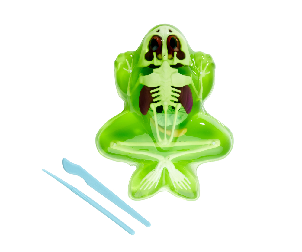 Simba Scout Dissect-It Frosch