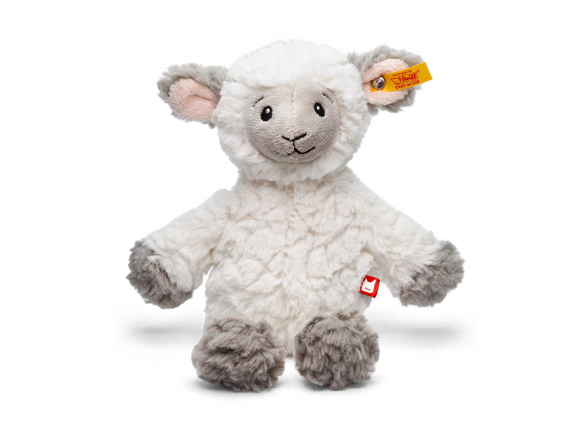 Plüsch, Spielzeug, Teddybär