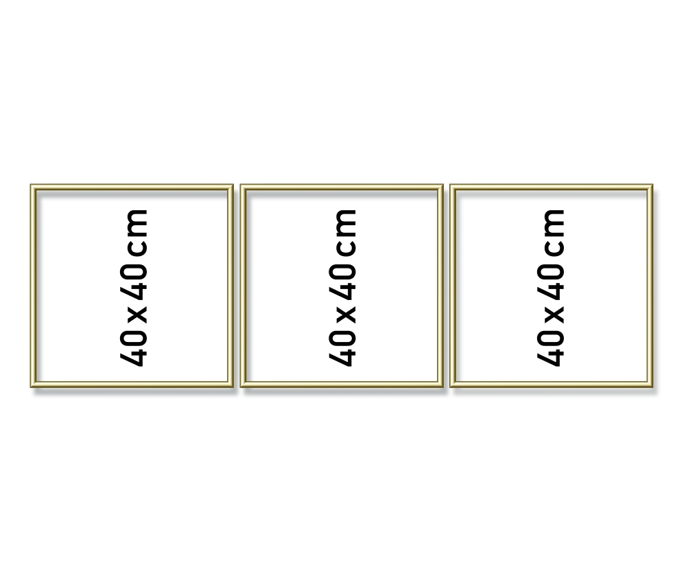 Schipper MNZ - Alurahmen Tripty. Gold 120 x 40 cm