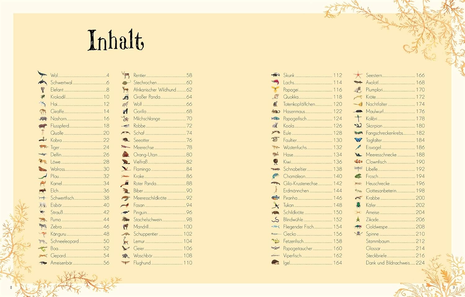 Seite, Text, Speisekarte