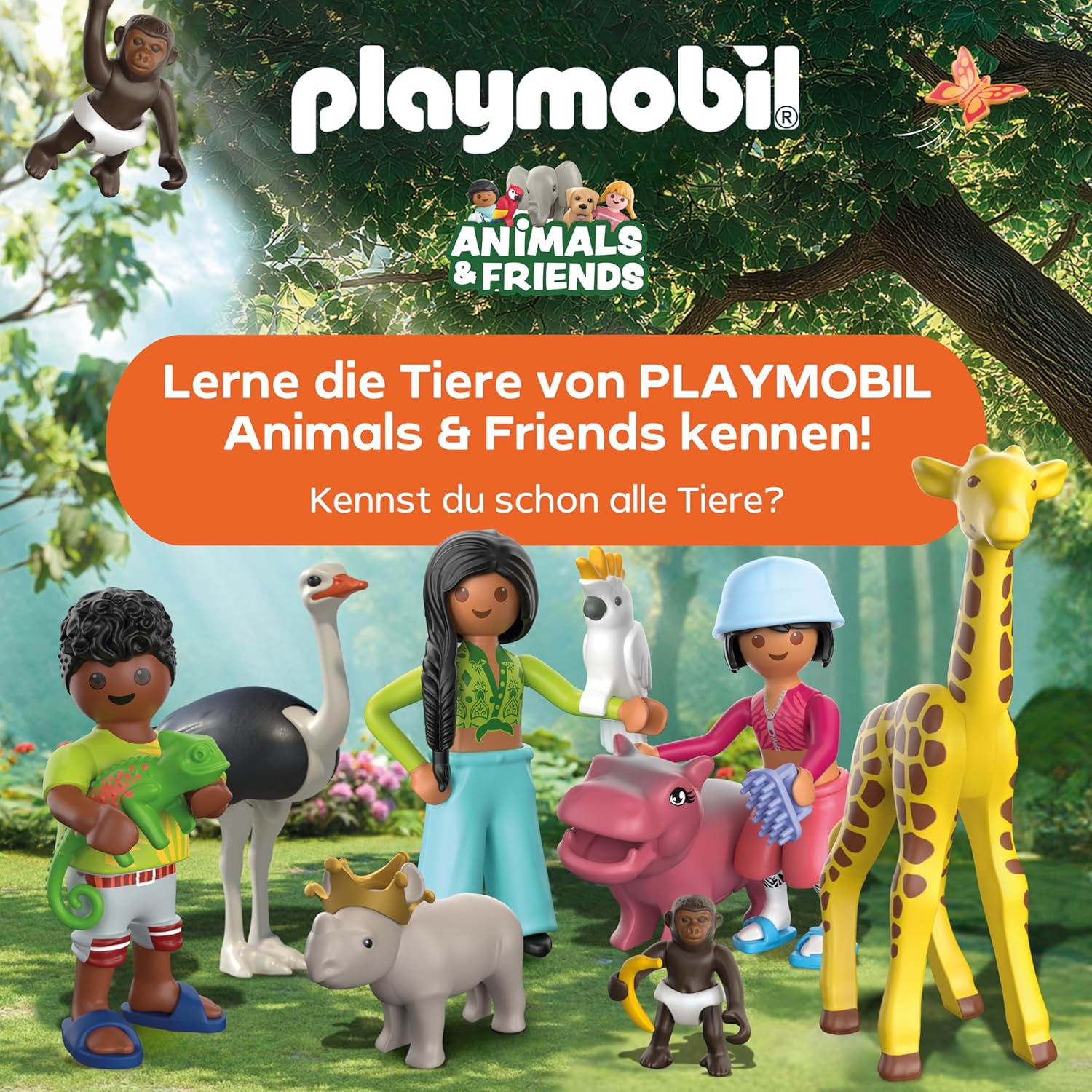 PLAYMOBIL 71853 ballonreise Werbung, Plakat, Person