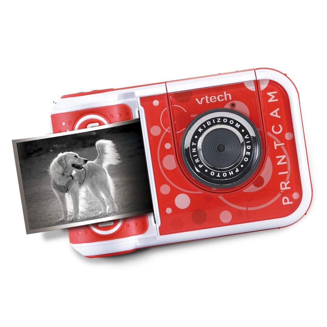 Kamera, Digitale Kamera, Elektronik, Hund, Haustier
