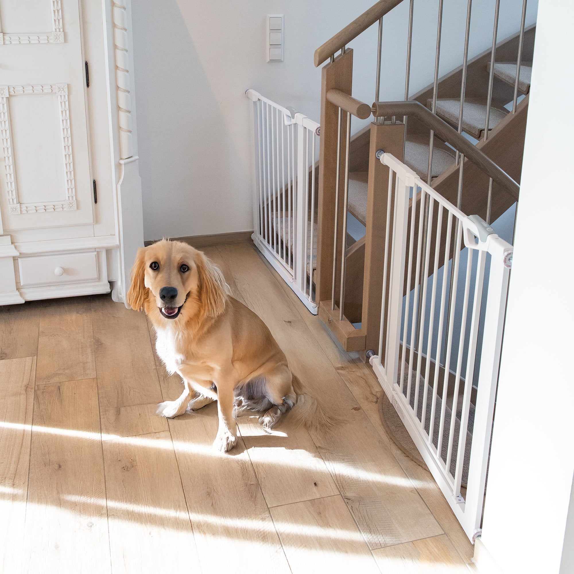 Roba 215047WE Türschutzgitter Metall weiß - Produktbild 9