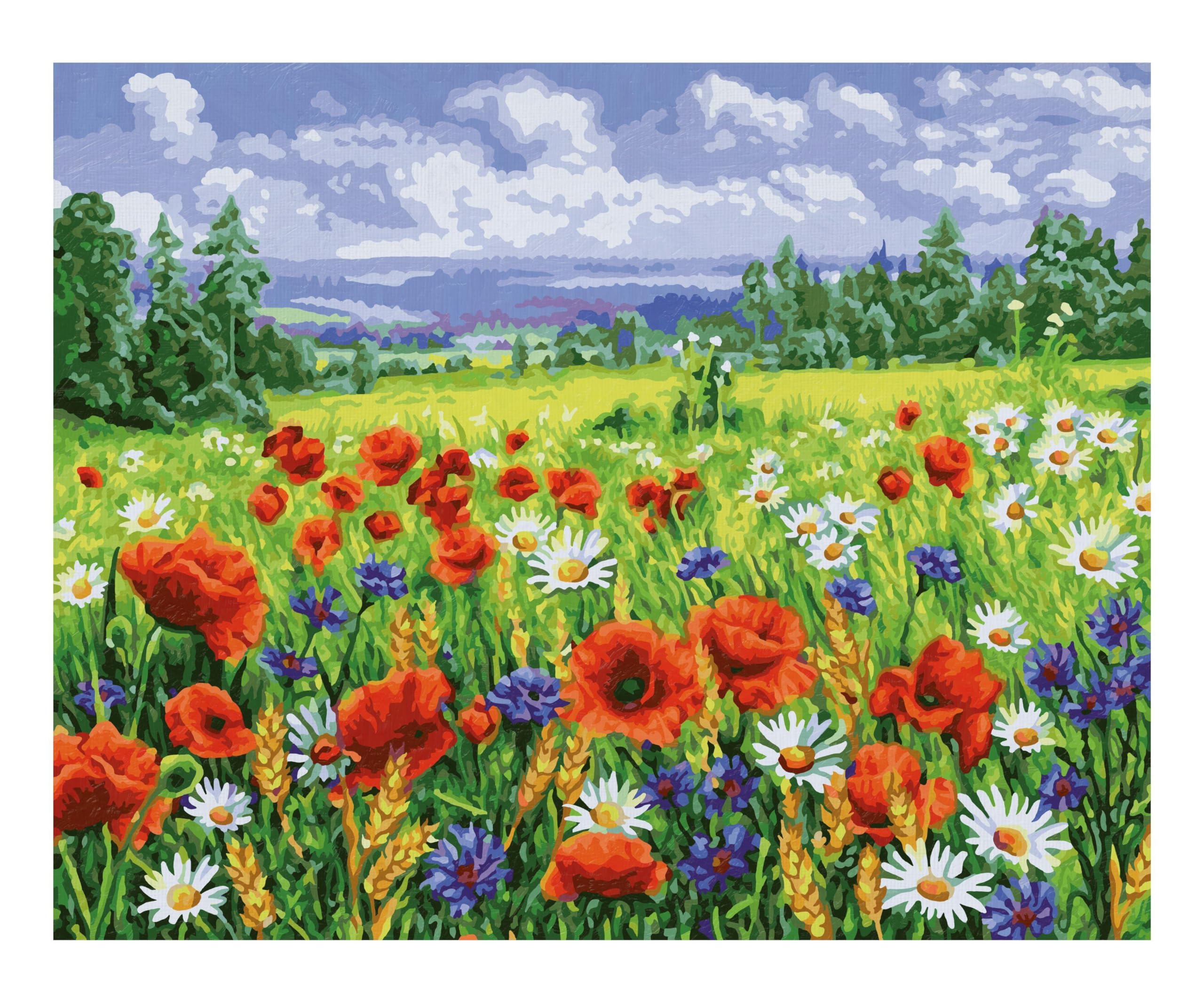 Schipper Mnz - Blumenwiese - Malset Mit Bunter Blumenpracht 609130824 Feld, Grünland, Draußen, Wiese, Gänseblümchen