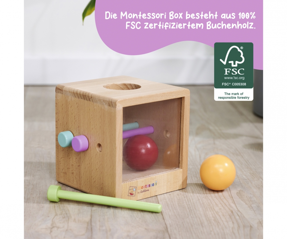 Eichhorn EH Montessori Box mit Kugeln