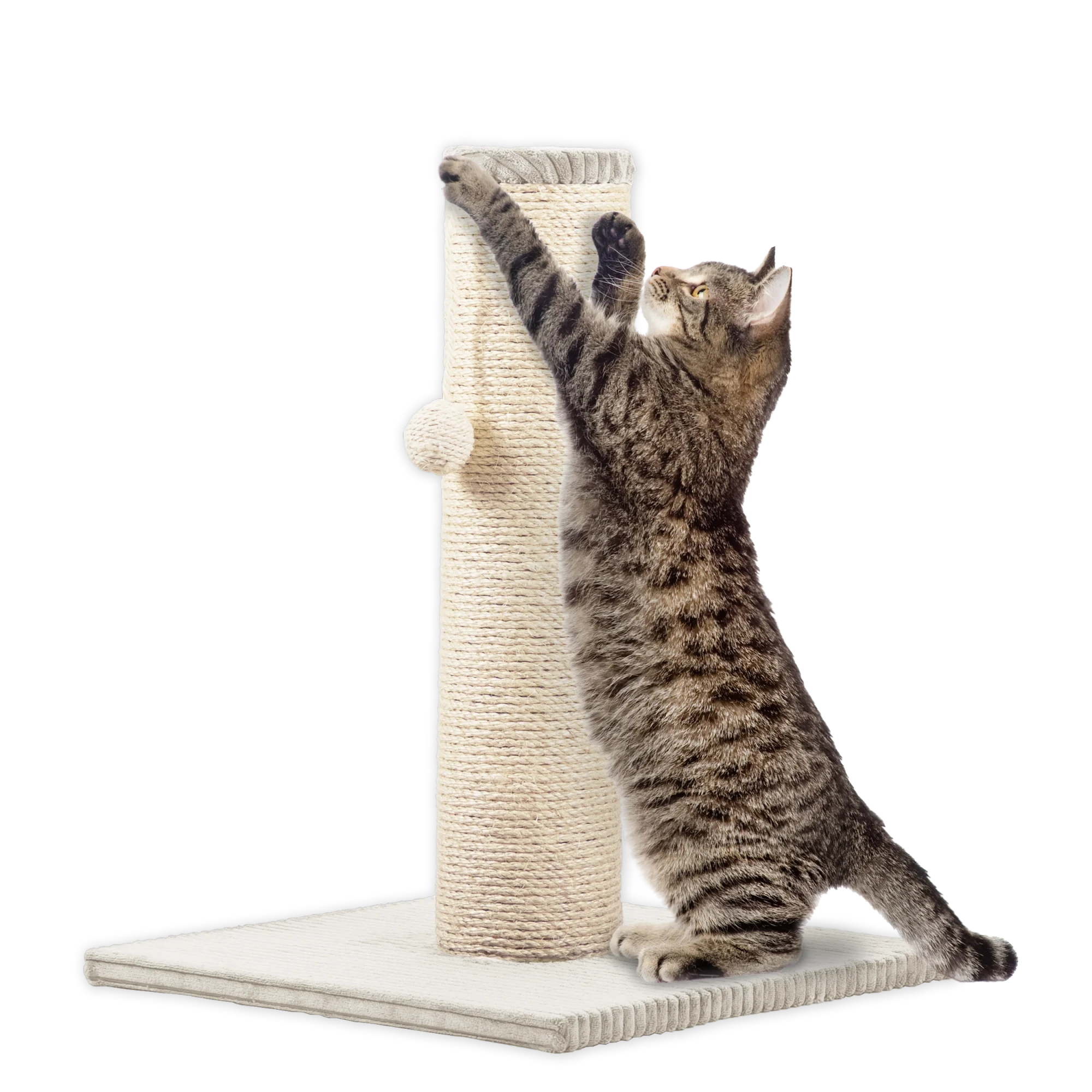 Rohrschneider RS 22386 Katzenbaum XL Stamm Cord – Kratzbaum mit Spielkugel GR.1