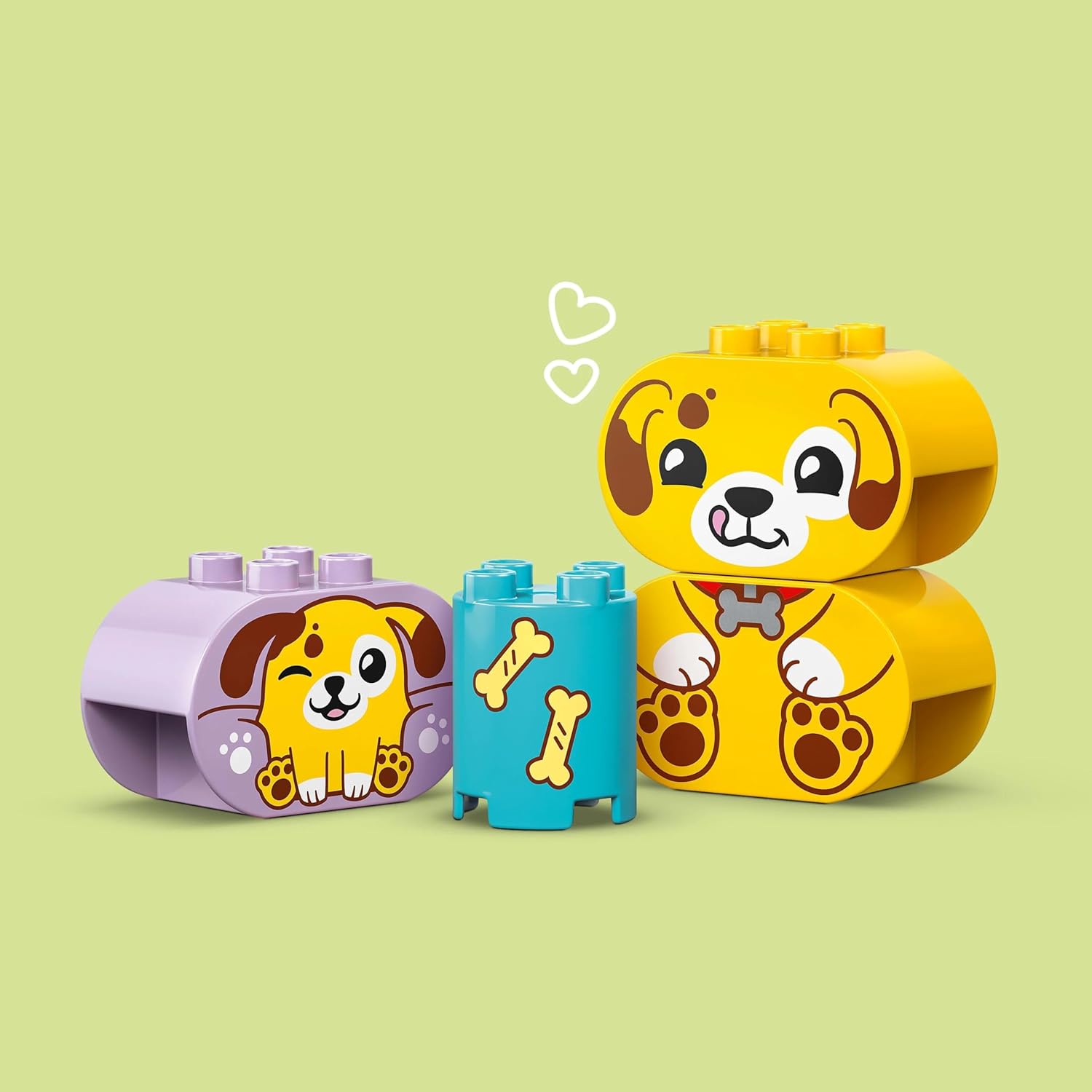 LEGO® DUPLO Formsortierer: Welpenhaus 10441 Band