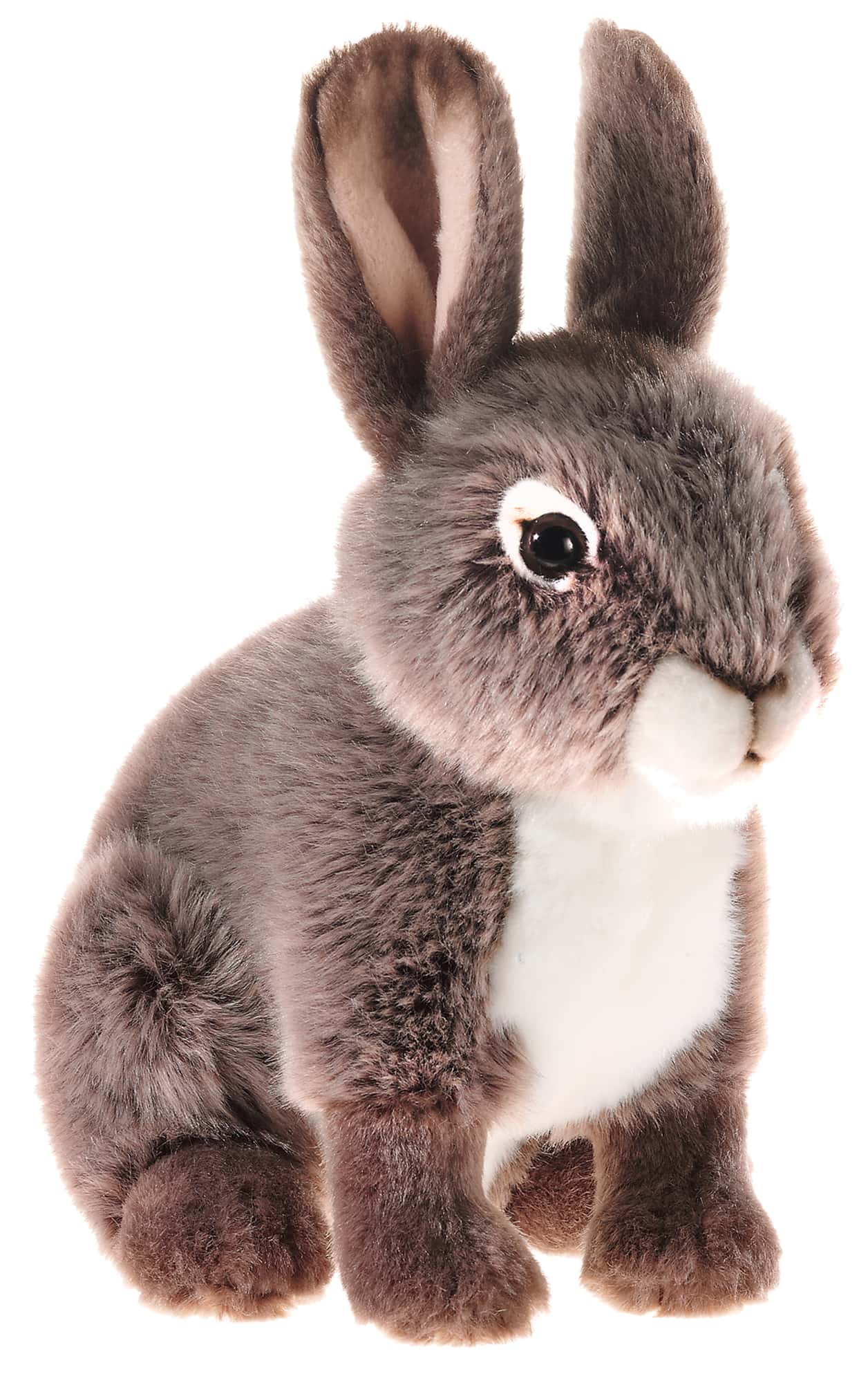 STREICHELZOO - Hase