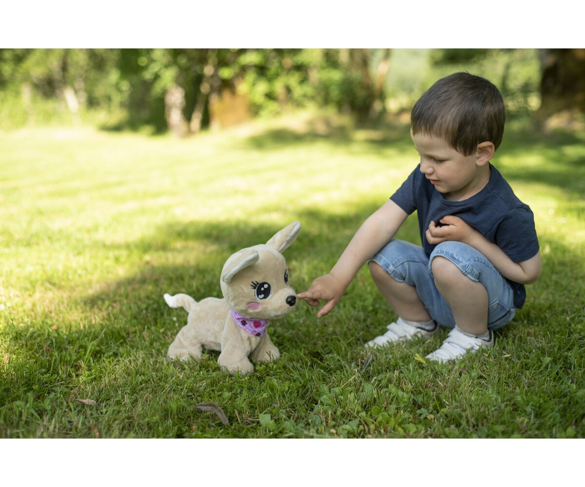 Simba CCL Baby Boo 105893500 Gras, Person, Fotografie, Portrait, Welpe