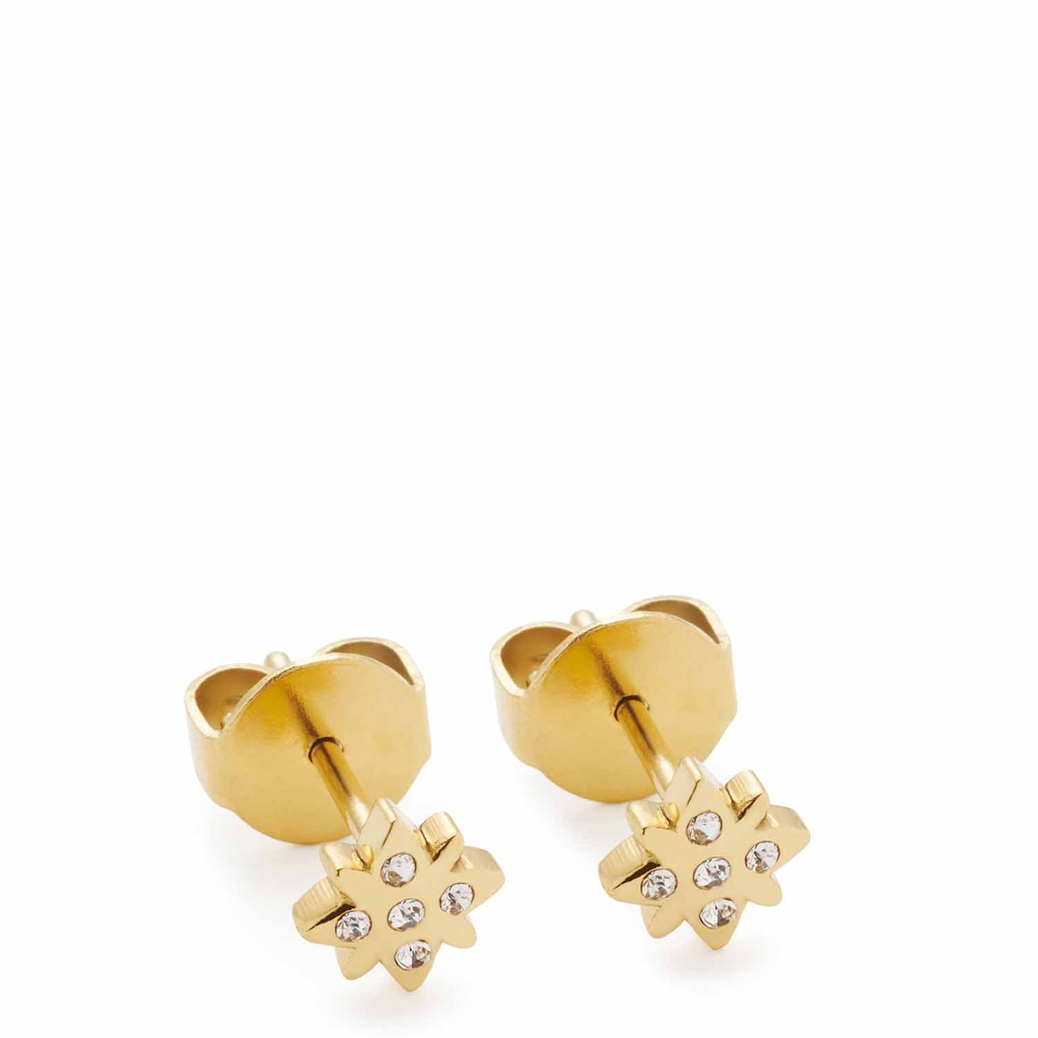 LeonardoOhrstecker gold Campagnola CIA