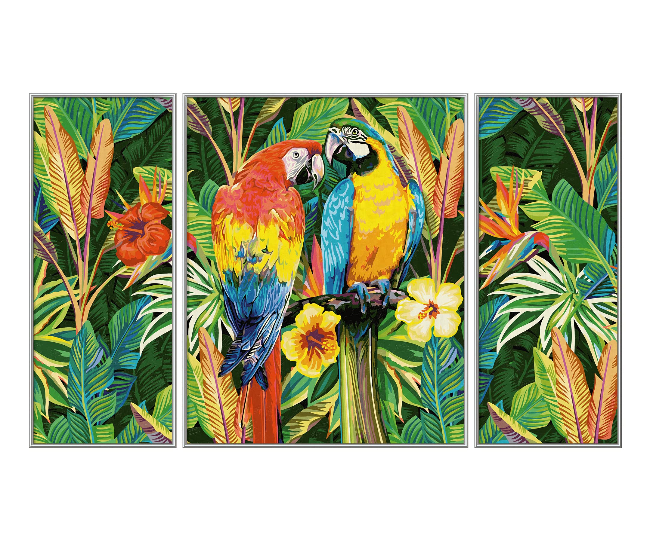 Tier, Vogel