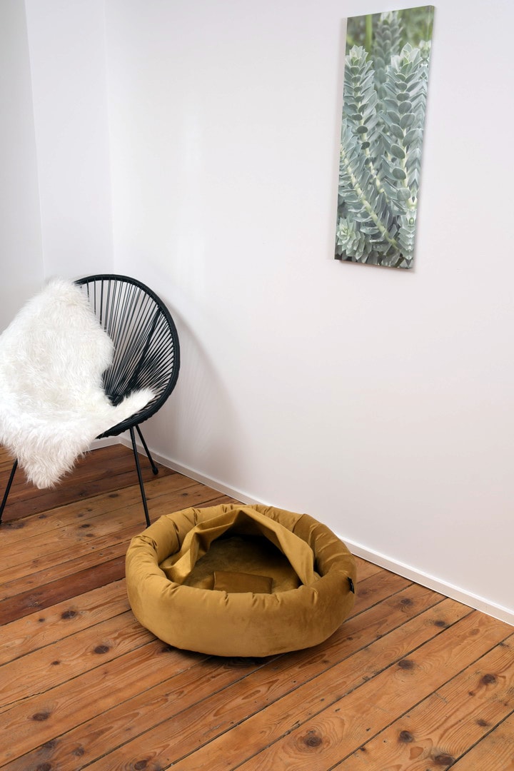 Rohrschneider – RS 22260 – Kuschelinsel Lajos Gr.1 senf – Senf – Haustiermöbel