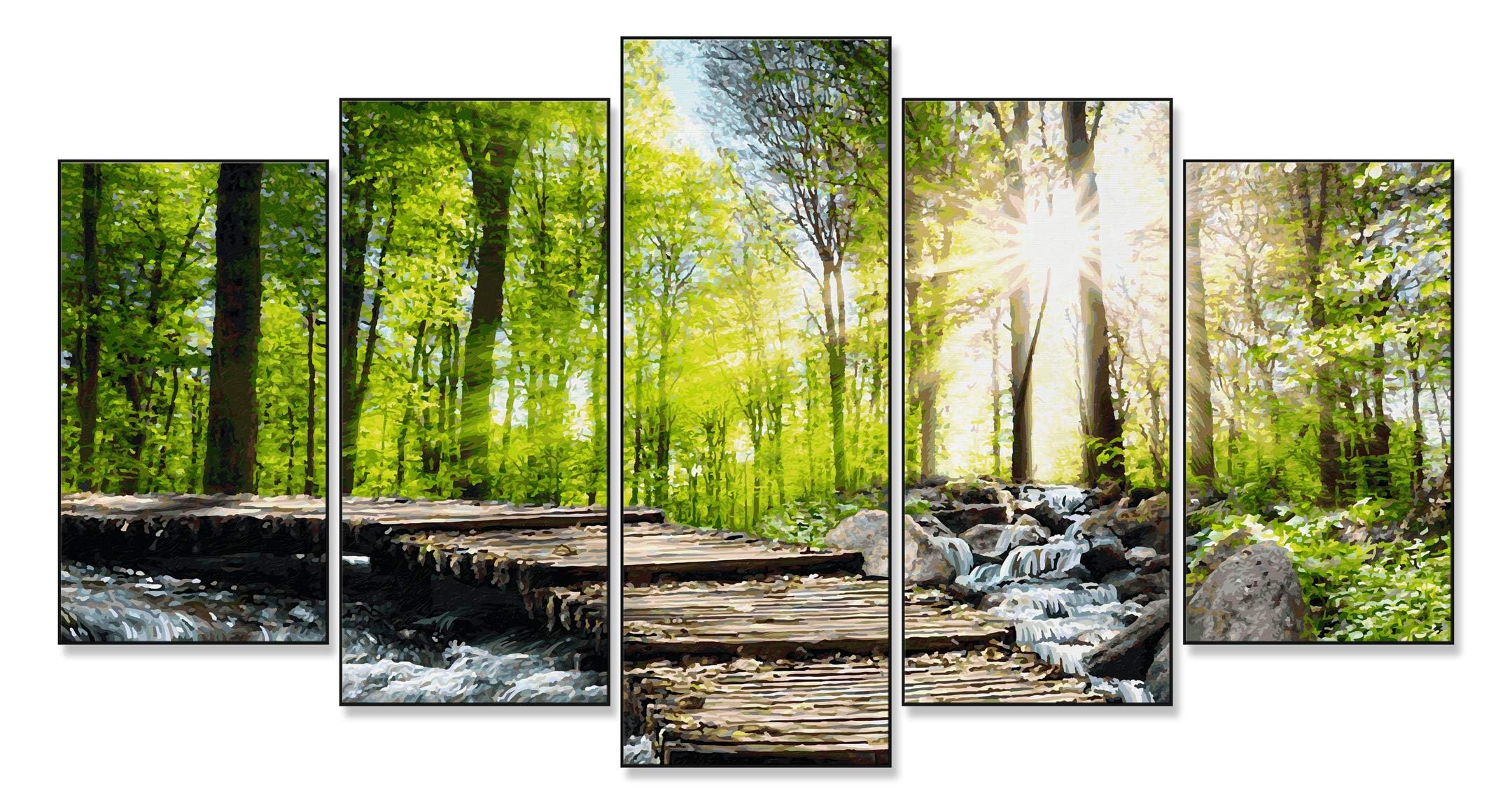 Pflanzenwuchs, Sonnenlicht, Natur, Wald, Collage