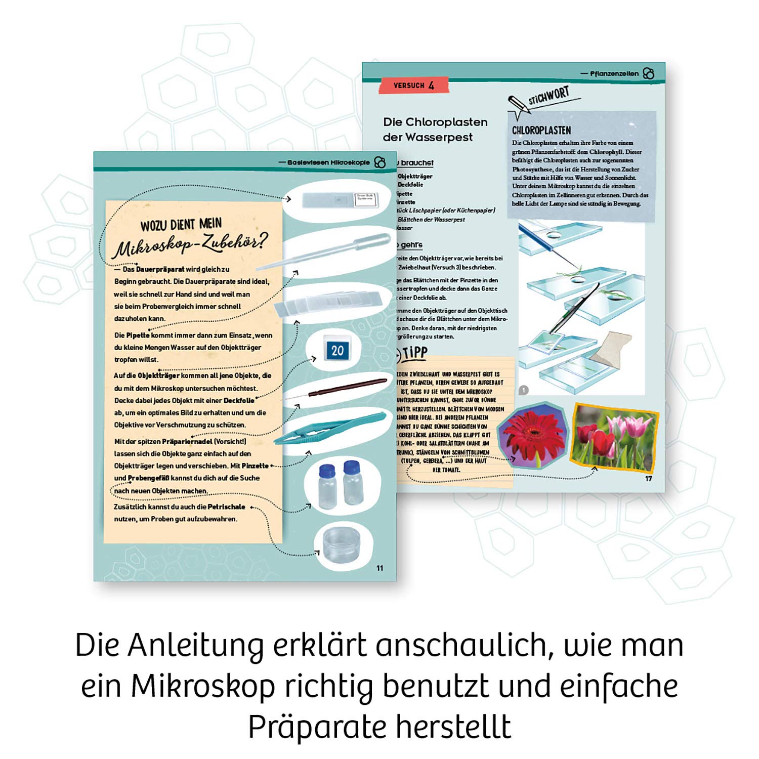Kosmos Entdecker-Mikroskop - Spannendes Mikroskopie-Set Für Junge Naturforscher Ab 8 Jahren 636050 Werbung, Plakat, Seite, Text