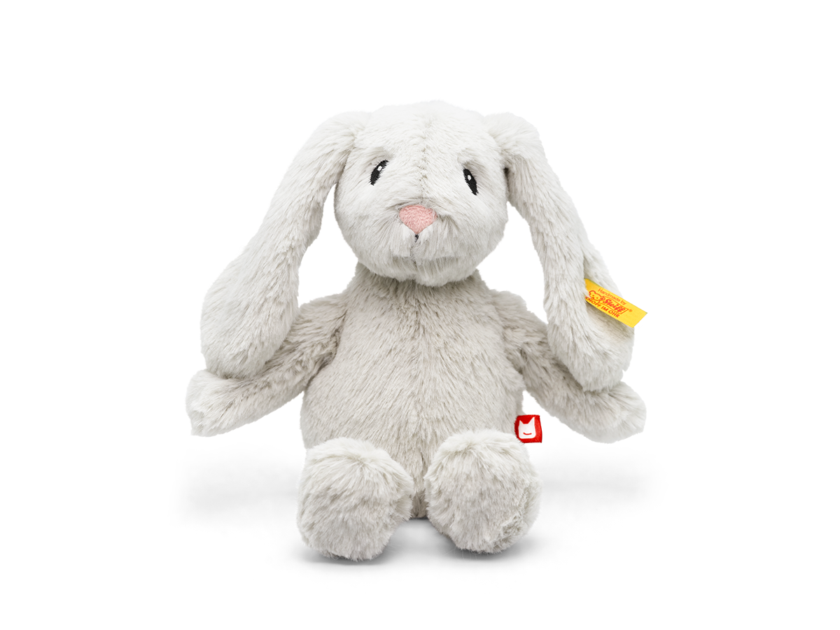 Plüsch, Spielzeug, Teddybär