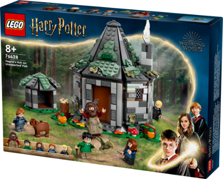 Hütte, Draußen, Spielzeug, Person, Gesicht