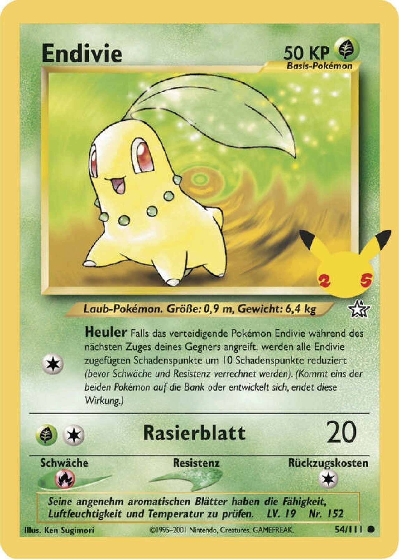 Werbung, Plakat, Bär, Säugetier, Tierwelt