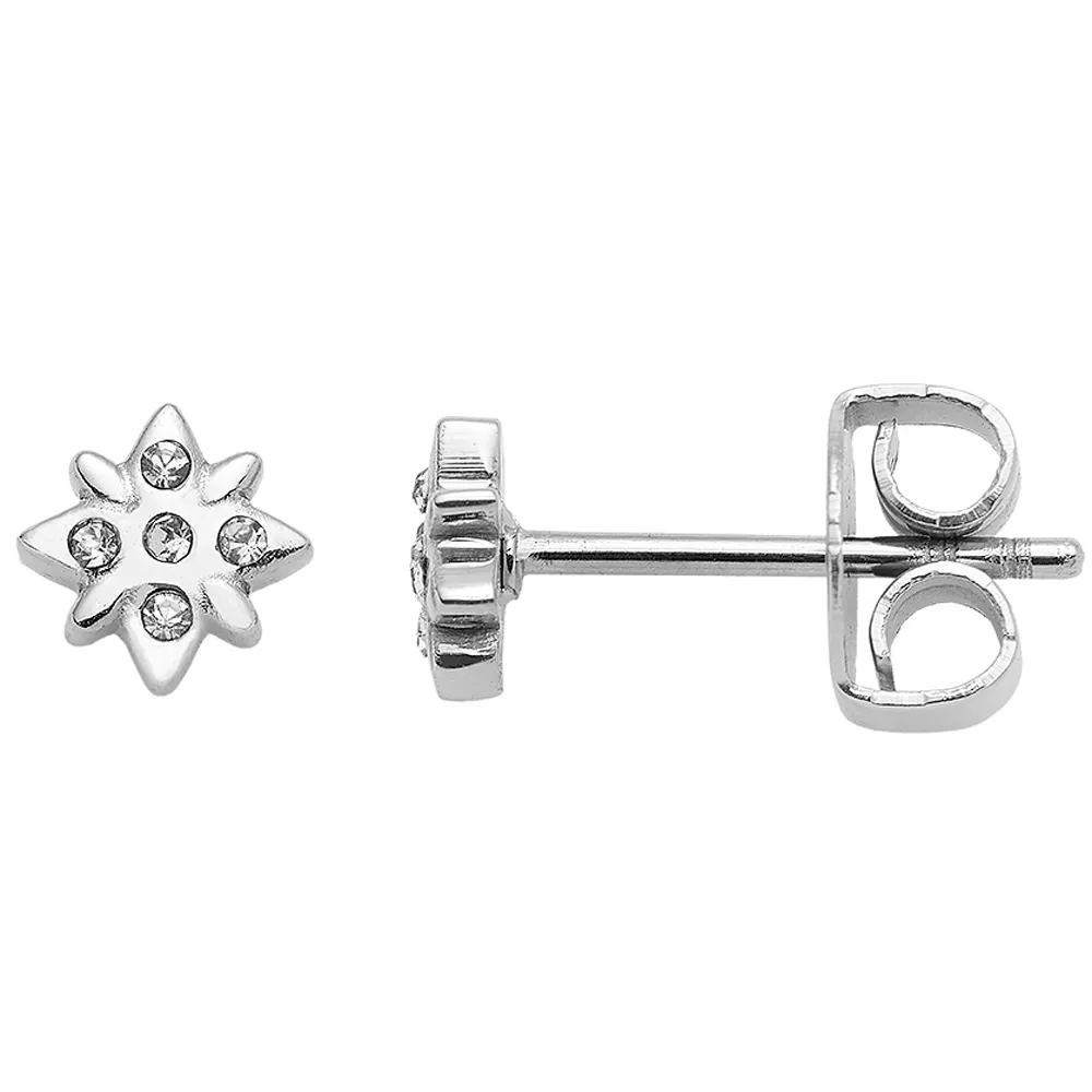 LeonardoOhrstecker Campagnola CIAO LeonardoOhrstecker Campagnola CIAO