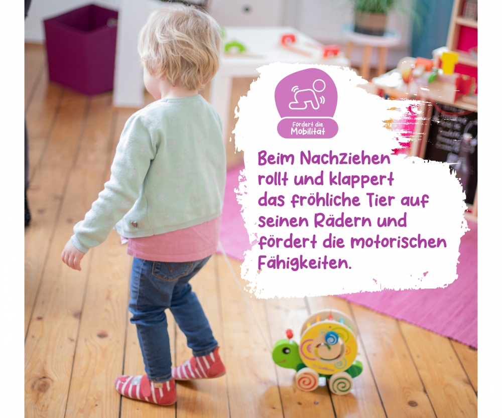 Eichhorn Color, Nachzieh-Stecktier 100002231