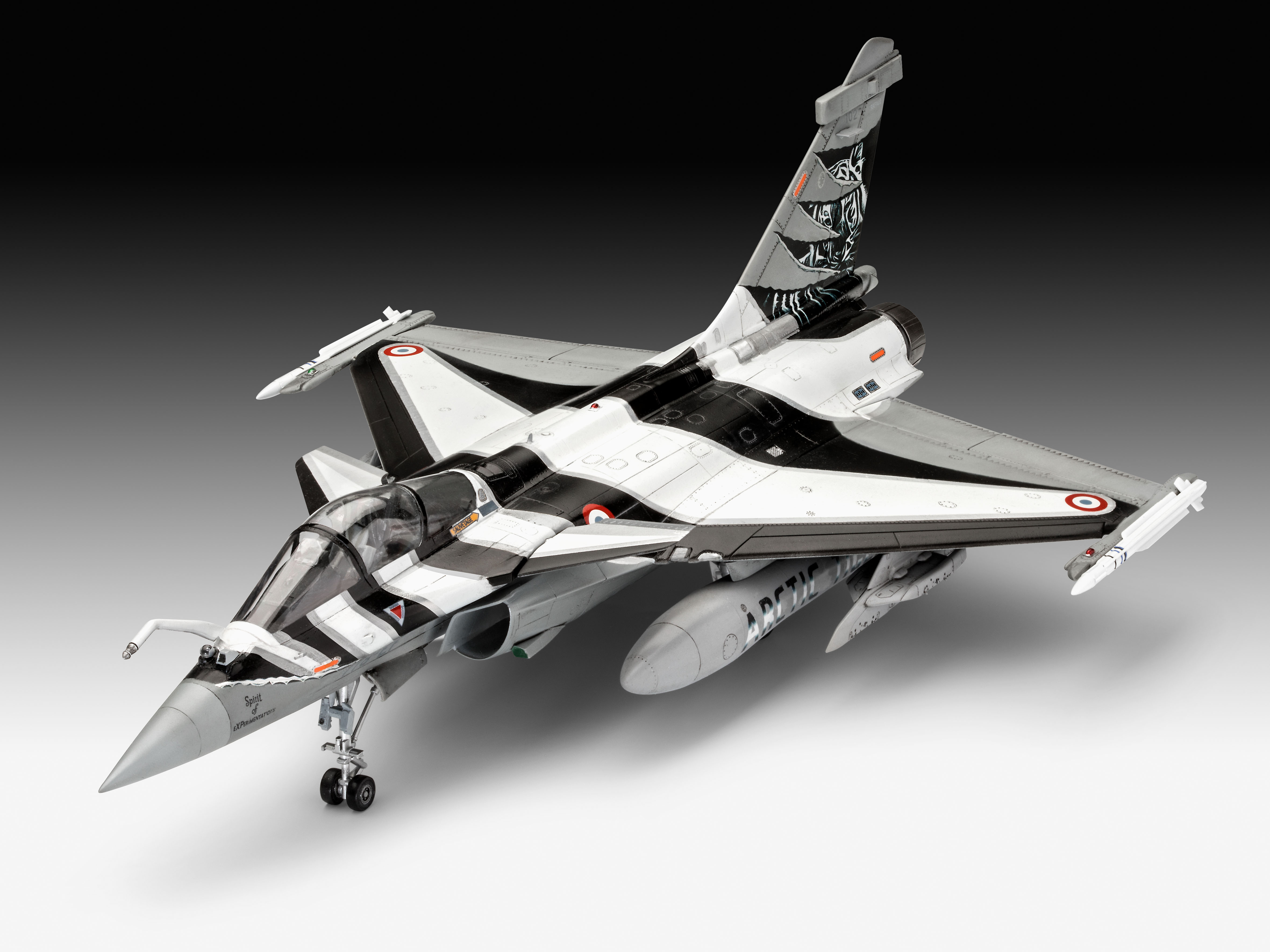 Revell 03901 Dassault Aviation Rafale C Modellbausatz Flugzeug, Transport, Fahrzeug, Kampfflugzeug