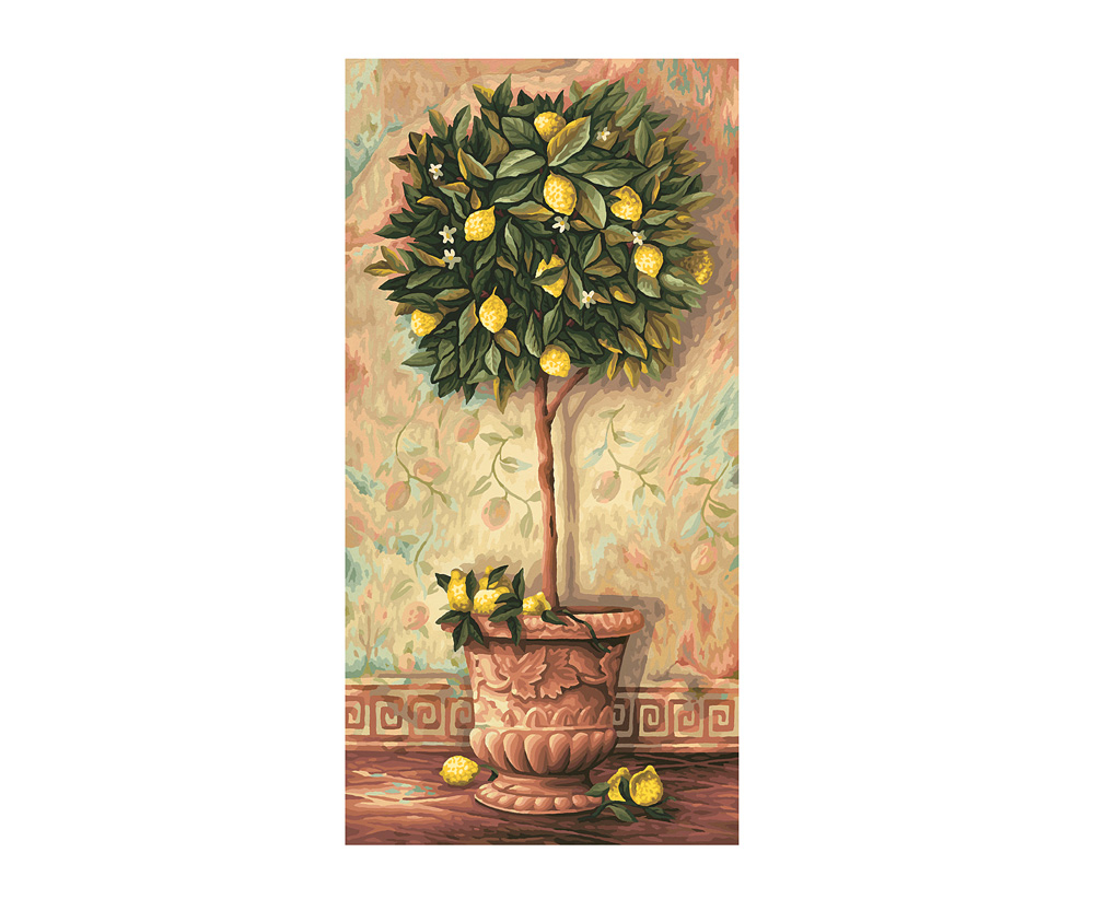 Schipper MNZ - Citrus Limonum